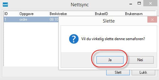 nettsync4.jpg