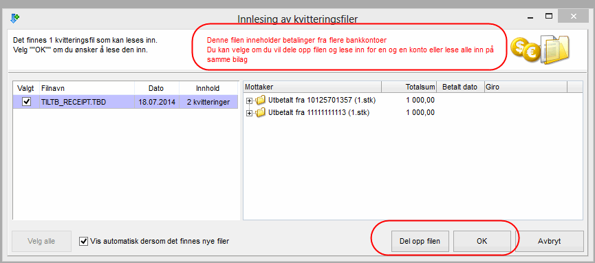 5_remittering_bankkonto_innlesing.png